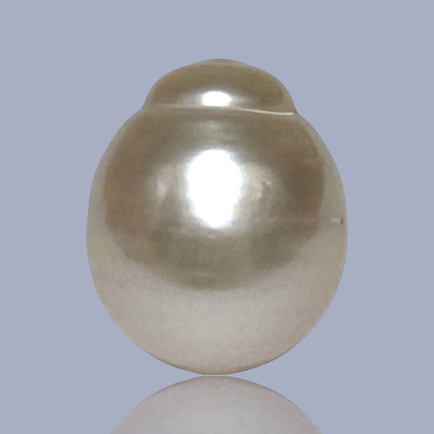 Giant Oval 13.7 x 16.3mm 22 Carats Gold South Sea Pearl Loose Un-Drilled