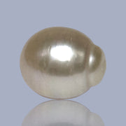 Giant Oval 13.7 x 16.3mm 22 Carats Gold South Sea Pearl Loose Un-Drilled