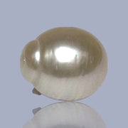 Giant Oval 13.7 x 16.3mm 22 Carats Gold South Sea Pearl Loose Un-Drilled