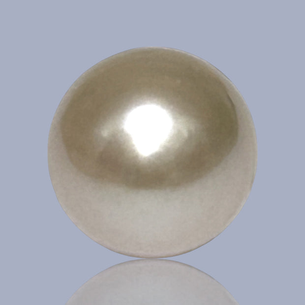 Giant Oval 13.7 x 16.3mm 22 Carats Gold South Sea Pearl Loose Un-Drilled