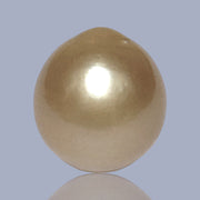 Unique 13.6 x 15mm 19.8 Carats Indonesia South Sea Gold Oval Pearl