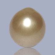 Unique 13.6 x 15mm 19.8 Carats Indonesia South Sea Gold Oval Pearl