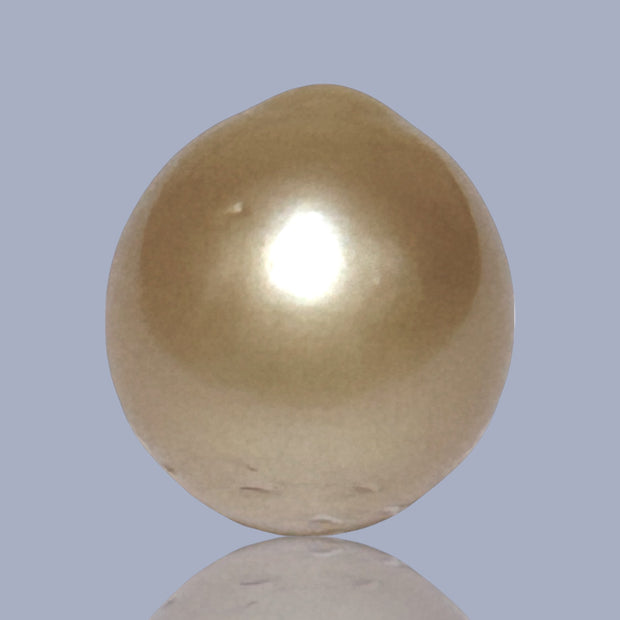 Unique 13.6 x 15mm 19.8 Carats Indonesia South Sea Gold Oval Pearl