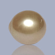 Unique 13.6 x 15mm 19.8 Carats Indonesia South Sea Gold Oval Pearl