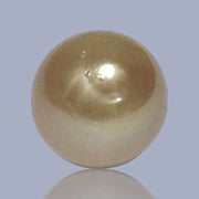 Unique 13.6 x 15mm 19.8 Carats Indonesia South Sea Gold Oval Pearl