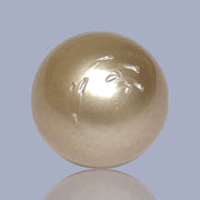 Unique 13.6 x 15mm 19.8 Carats Indonesia South Sea Gold Oval Pearl