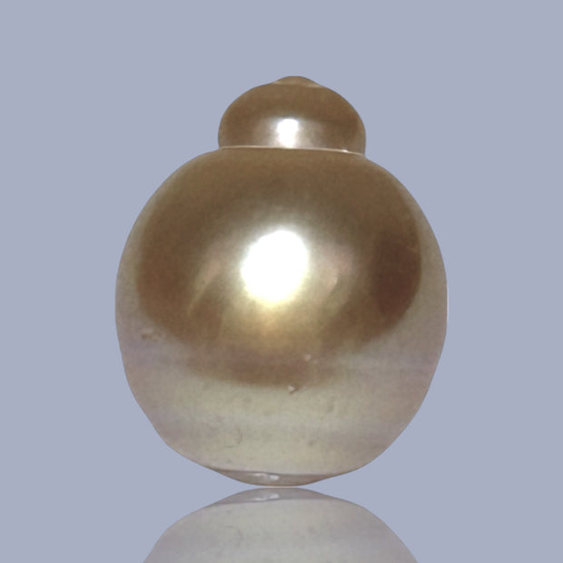 Delicate  Giant 14.5 x 17.6mm Deep Gold Philippines South Sea Pearl