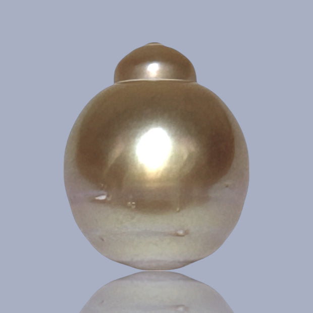 Delicate  Giant 14.5 x 17.6mm Deep Gold Philippines South Sea Pearl