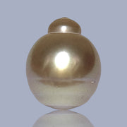 Delicate  Giant 14.5 x 17.6mm Deep Gold Philippines South Sea Pearl