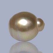 Delicate  Giant 14.5 x 17.6mm Deep Gold Philippines South Sea Pearl