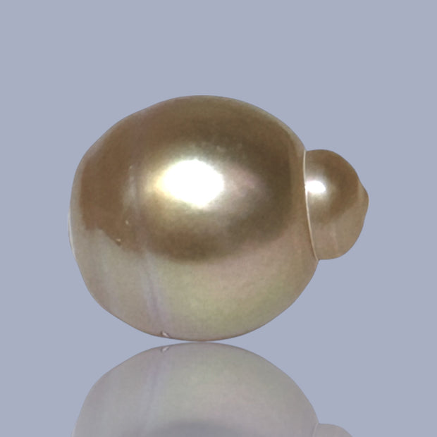 Delicate  Giant 14.5 x 17.6mm Deep Gold Philippines South Sea Pearl