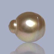 Delicate  Giant 14.5 x 17.6mm Deep Gold Philippines South Sea Pearl