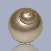 Delicate  Giant 14.5 x 17.6mm Deep Gold Philippines South Sea Pearl