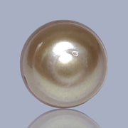 Delicate  Giant 14.5 x 17.6mm Deep Gold Philippines South Sea Pearl