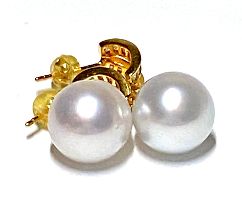 Oval Drop 11.6 x 13.5mm White South Sea Cultured Pearl Earrings