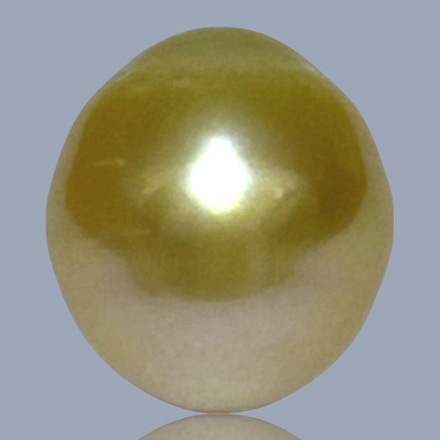 Oval Giant 14.3 x 15.8mm 23.4 Carats Deep Gold South Sea Pearl