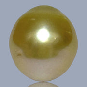 Oval Giant 14.3 x 15.8mm 23.4 Carats Deep Gold South Sea Pearl