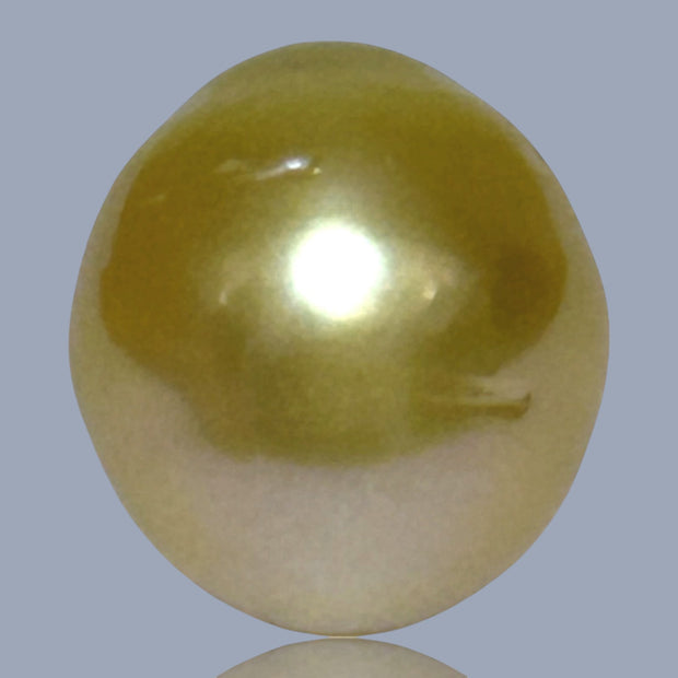 Oval Giant 14.3 x 15.8mm 23.4 Carats Deep Gold South Sea Pearl