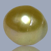 Oval Giant 14.3 x 15.8mm 23.4 Carats Deep Gold South Sea Pearl