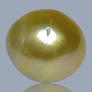 Oval Giant 14.3 x 15.8mm 23.4 Carats Deep Gold South Sea Pearl