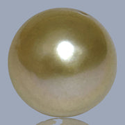 Oval Giant 14.3 x 15.8mm 23.4 Carats Deep Gold South Sea Pearl