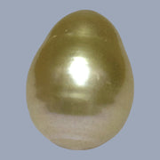 Oval Baroque 15.4 x 20.1mm 33 Carats Rich Gold South Sea Pearl