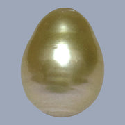 Oval Baroque 15.4 x 20.1mm 33 Carats Rich Gold South Sea Pearl