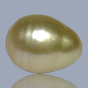 Oval Baroque 15.4 x 20.1mm 33 Carats Rich Gold South Sea Pearl