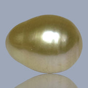 Oval Baroque 15.4 x 20.1mm 33 Carats Rich Gold South Sea Pearl