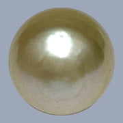 Oval Baroque 15.4 x 20.1mm 33 Carats Rich Gold South Sea Pearl