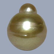 Sllky 14.5 x 17mm 23.3 Carats Gold Philippines South Sea Loose Pearl