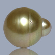 Sllky 14.5 x 17mm 23.3 Carats Gold Philippines South Sea Loose Pearl