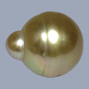 Sllky 14.5 x 17mm 23.3 Carats Gold Philippines South Sea Loose Pearl