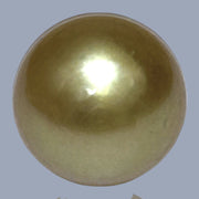 Sllky 14.5 x 17mm 23.3 Carats Gold Philippines South Sea Loose Pearl