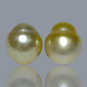 Dazzling A Pair 10 x 11mm 15.4 Carats Natural Gold South Sea Pearls