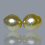 Dazzling A Pair 10 x 11mm 15.4 Carats Natural Gold South Sea Pearls