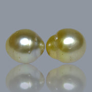 Dazzling A Pair 10 x 11mm 15.4 Carats Natural Gold South Sea Pearls