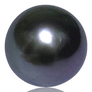 Gigantic 13.2 x 15.7mm 18.2 Carats Tahitian Peacock Gray-Green Pearl