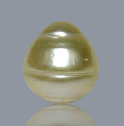 Oval 12.2 x 13.3mm 14.2 Carats Natural Pale Gold South Sea Pearl Loose