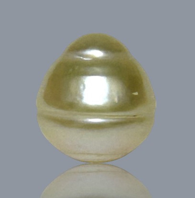 Oval 12.2 x 13.3mm 14.2 Carats Natural Pale Gold South Sea Pearl Loose