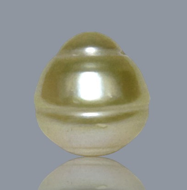 Oval 12.2 x 13.3mm 14.2 Carats Natural Pale Gold South Sea Pearl Loose