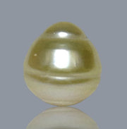 Oval 12.2 x 13.3mm 14.2 Carats Natural Pale Gold South Sea Pearl Loose