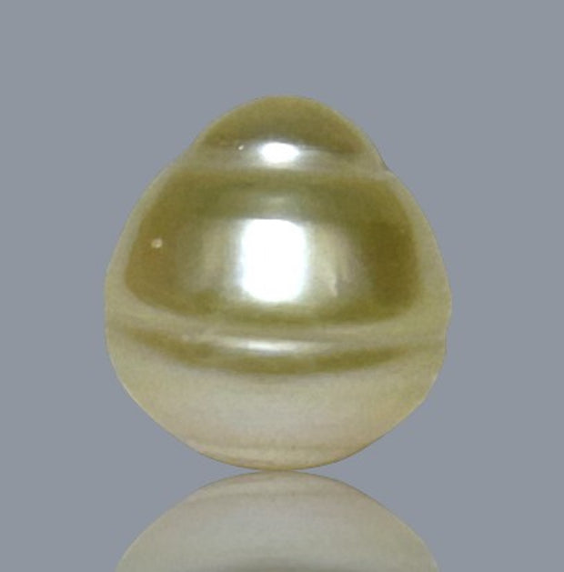 Oval 12.2 x 13.3mm 14.2 Carats Natural Pale Gold South Sea Pearl Loose