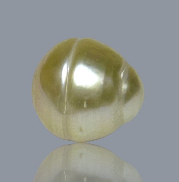 Oval 12.2 x 13.3mm 14.2 Carats Natural Pale Gold South Sea Pearl Loose