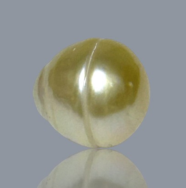 Oval 12.2 x 13.3mm 14.2 Carats Natural Pale Gold South Sea Pearl Loose