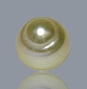 Oval 12.2 x 13.3mm 14.2 Carats Natural Pale Gold South Sea Pearl Loose