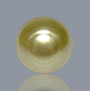 Oval 12.2 x 13.3mm 14.2 Carats Natural Pale Gold South Sea Pearl Loose