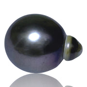 Huge 12.2 x 16mm 15.2 Carats Tahitian Sea Peacock Black Green Pearl