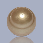 RARE 16.8 x 17.7mm Deep Gold Philippines South Sea Loose Pearl