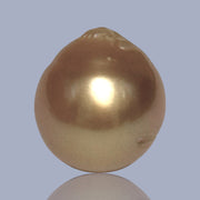 Giant Oval 14.3 x 15.6mm 22.6 Carats Deep Gold South Sea Pearl